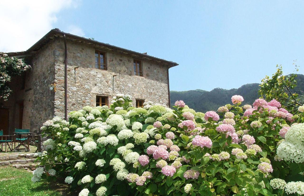 Villa Bottino By Salogi Villas San Martino in Freddana Exterior foto